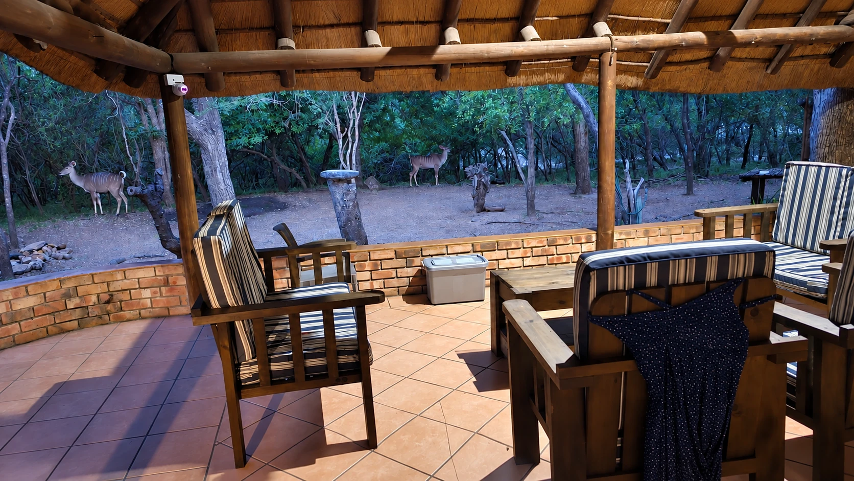 View from the lapa into the bush
