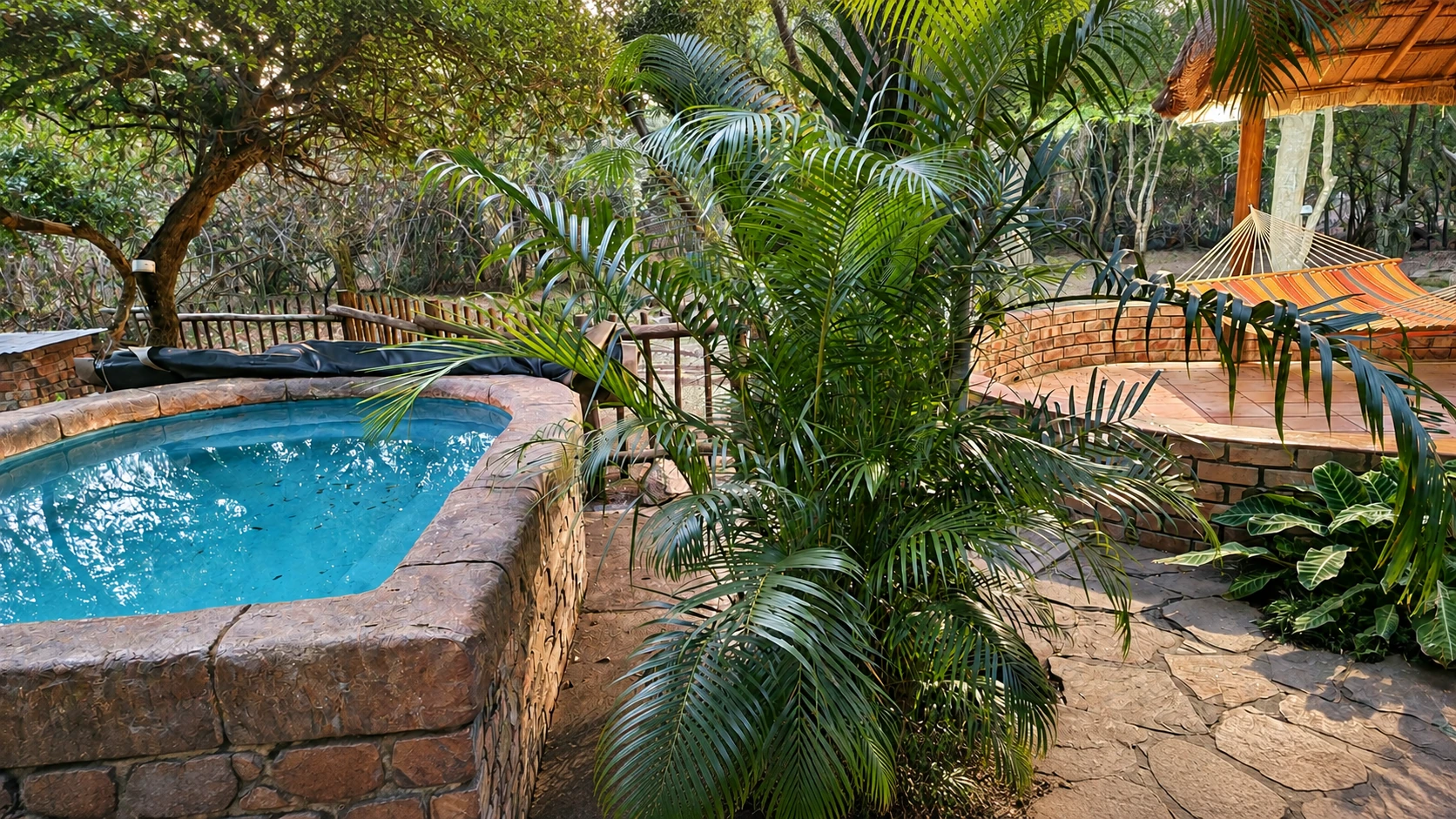 Shared splash pool and surrounding garden