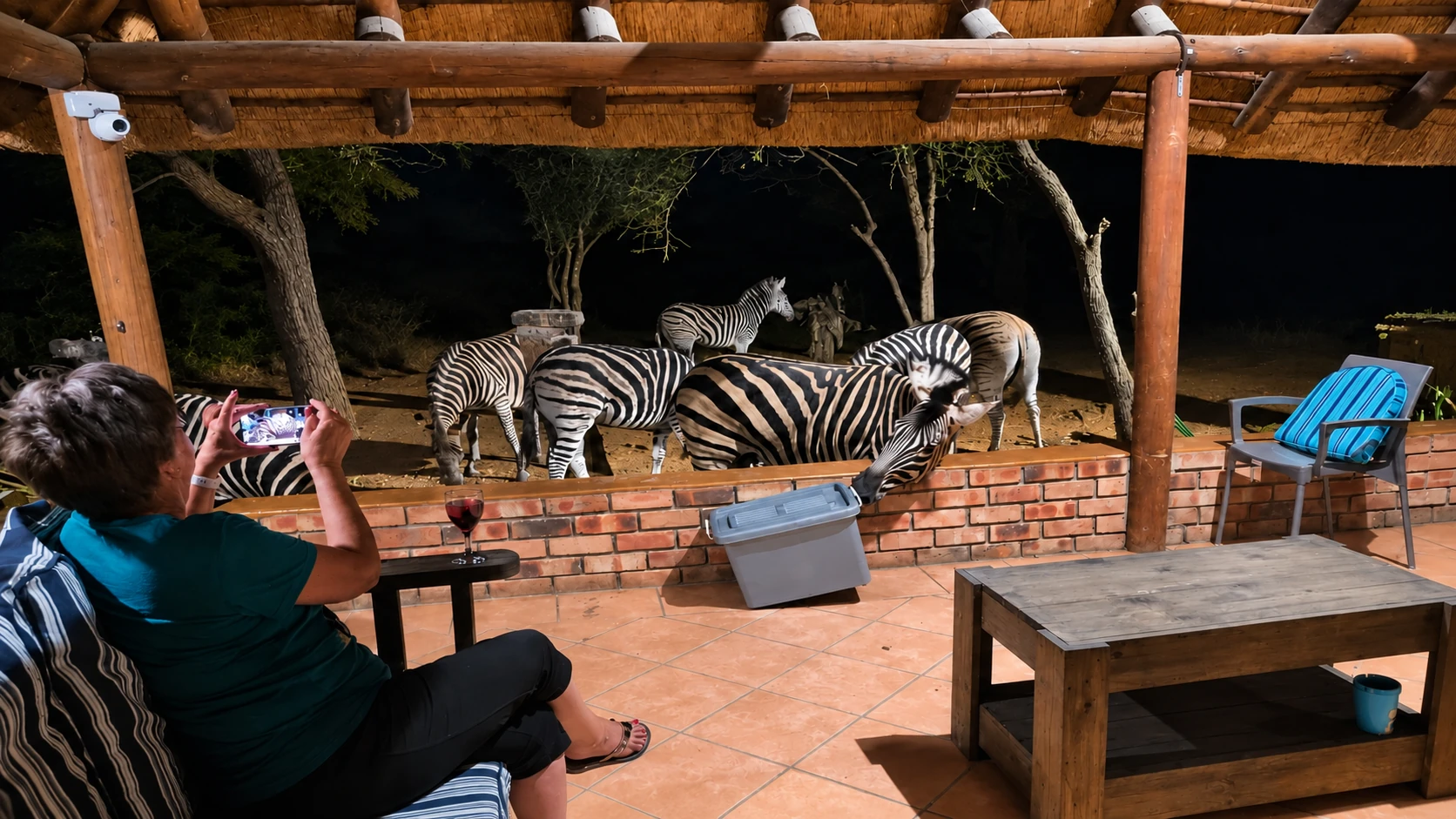 A guest watching zebras from the lapa at night